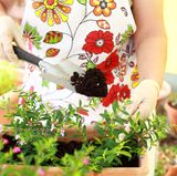 Falls Sie zu einer besonders gefährdeten Berufsgruppe gehören und zum Beispiel Imker oder Gärtner sind, sollten Sie als Insektengiftallergiker spezielle Vorkehrungen treffen. Gärtner sollten bei der Arbeit mit Blütenpflanzen stets Handschuhe tragen