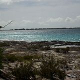 1972 verschenkt Kubas Staatschef Fidel Castro das kleine Eiland an die DDR