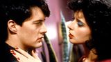Kyle MacLachlan und Isabella Rossellini in "Blue Velvet"(USA 1986). Der Psycho-Thriller um einen netten Jungen, der durch Zufall in einen Strudel aus Horror und Sex gerät, machte Lynch zu einem Kultregisseur