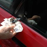 Ein Härtefall: An den Gummis hat sich Moos angesiedelt. Leider muss das Biotop jetzt weichen. Kunstoffreiniger entfernen den Schmutz, erfrischen die Farbe und wirken der Versprödung des Materials entgegen.