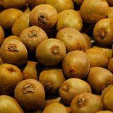 Eigentlich heißt die kleine, braune Südfrucht mit dem grünen Fruchtfleisch "Chinesischer Strahlengriffel". Die Bezeichnung "Kiwi" wurde zu Marketing-Zwecken erfunden und leitet sich vom Kiwi-Vogel, dem Nationaltier Neuseelands, ab. Gestiegen ist der Preis der Vitamin C reichen Frucht (gemeinsam mit anderen Früchten) im vergangenen Jahr um knapp 31 Prozent