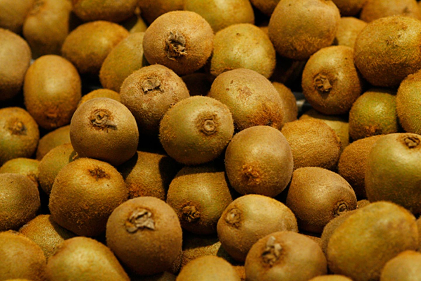 Inflation: Eigentlich heißt die kleine, braune Südfrucht mit dem grünen Fruchtfleisch "Chinesischer Strahlengriffel". Die Bezeichnung "Kiwi" wurde zu Marketing-Zwecken erfunden und leitet sich vom Kiwi-Vogel, dem Nationaltier Neuseelands, ab. Gestiegen ist der Preis der Vitamin C reichen Frucht (gemeinsam mit anderen Früchten) im vergangenen Jahr um knapp 31 Prozent Eigentlich heißt die kleine, braune Südfrucht mit dem grünen Fruchtfleisch "Chinesischer Strahlengriffel". Die Bezeichnung "Kiwi" wurde zu Marketing-Zwecken erfunden und leitet sich vom Kiwi-Vogel, dem Nationaltier Neuseelands, ab. Gestiegen ist der Preis der Vitamin C reichen Frucht (gemeinsam mit anderen Früchten) im vergangenen Jahr um knapp 31 Prozent