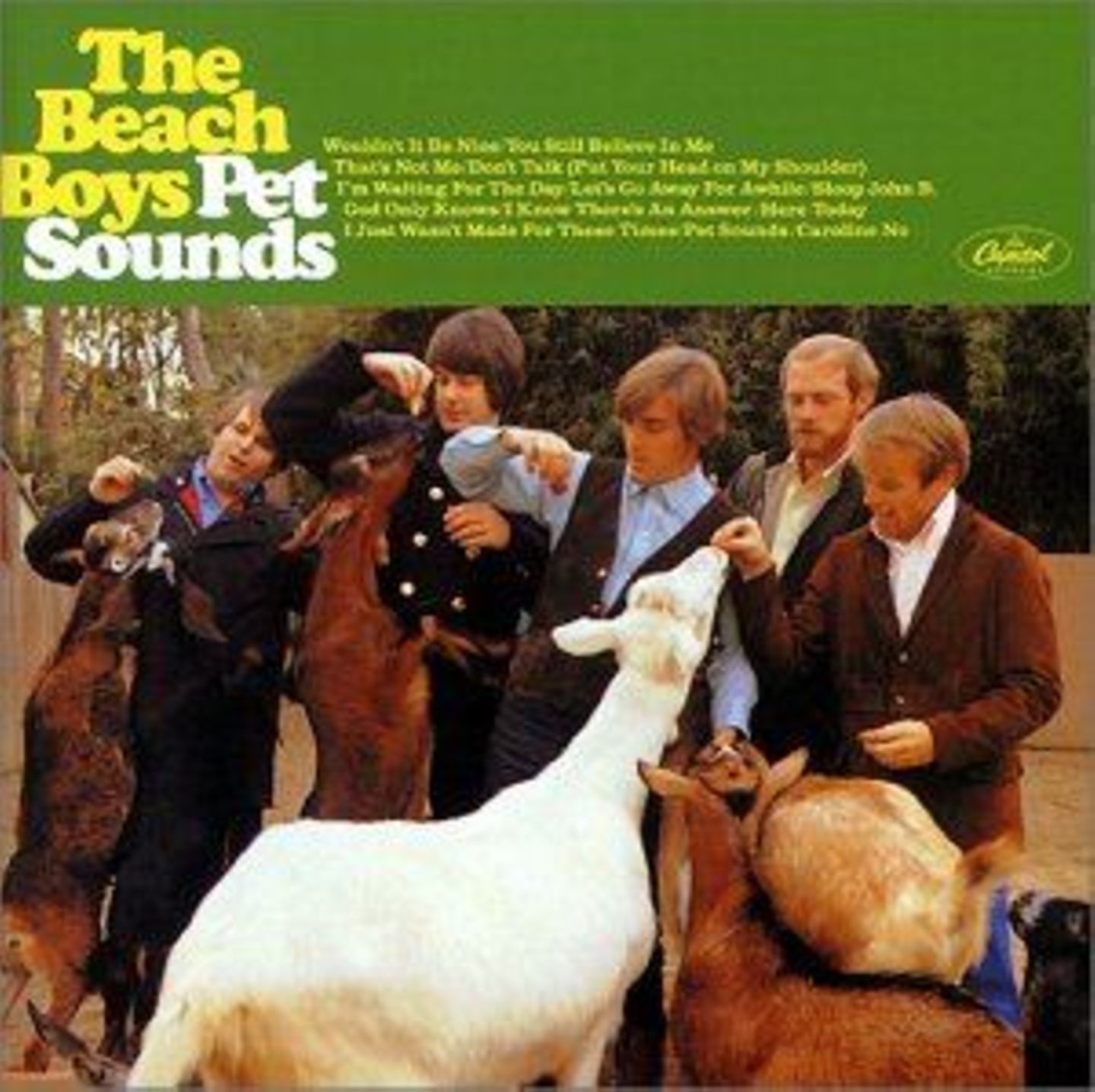 Ein Meilenstein der Musikgeschichte: "Pet Sounds von den Beach Boys"