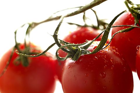 Reife Tomaten: Mehr Favonoide in der Bio-Ware