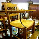 "Man würde es 20 bis 30 Jahre später wieder abholzen, für schöne Billigmöbel. Die Idee an sich ist ja ganz gut, die Realisierung würde in der heutigen Zeit zu einem kleinem Wäldchen im Wert von ein paar Milliarden Euro führen. Die damit finanzierten Luxusautos der dort ansässigen Politiker würden dann wiederum soviel Abgase produzieren, dass der Wald krank wird", vermutet M. K. aus Kiel