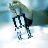 "Nein, in Insektenstaaten, seien es Ameisen, Bienen oder Termiten, gibt es keine Arbeitslosen. Der Grund ist ganz einfach: Insekten können nicht stempeln", witzelt Peter aus Grafengehaig