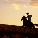 "Weil Cowboys eben gern von links nach rechts oder von rechts nach links durchs Bild reiten, ist das Bildschirmformat quer. Für Bücher und Zeitungen eignet sich besser ein kürzeres Format, damit das Auge den Anfang der nächsten Zeile wiederfindet", schreibt Peter Moser aus Landshut