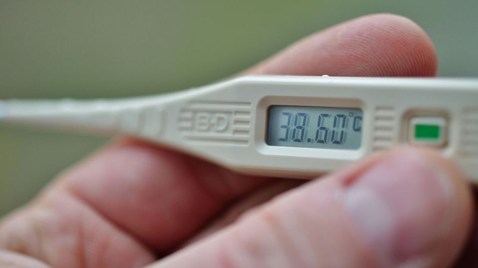 Übersteigt das Fieber 39 Grad, sollten Sie etwas dagegen unternehmen