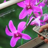 Alles was mit Elektronik zu tun hat, basiert auf der Zahl 2. Also zwei Zustände: Strom an für 1 und kein Strom für 0. Es sind immer Vielfache von 2. İn der Natur dagegen stehen krummme, gebrochene Zahlen im Vordergrund. Zum Beispiel die Eulersche Zahl e für 2,7... oder Pi für 3,14...   Karabacak Savas