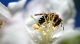 "Weil man dann ruckartig einatmet und dabei Insekten in den Rachenraum gesogen werden könnten. Mit der Hand versucht man instinktiv mögliche Insekten fernzuhalten", schreibt Wolfgang Schmidt aus Krefeld