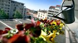 Und Pflanzen und Dekoration besorgen. Auch daran denken, dass der Kühlschrank vor Urlaubsbeginn mit Lebensmitteln und Getränken gefüllt ist