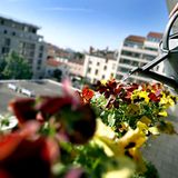 Und Pflanzen und Dekoration besorgen. Auch daran denken, dass der Kühlschrank vor Urlaubsbeginn mit Lebensmitteln und Getränken gefüllt ist