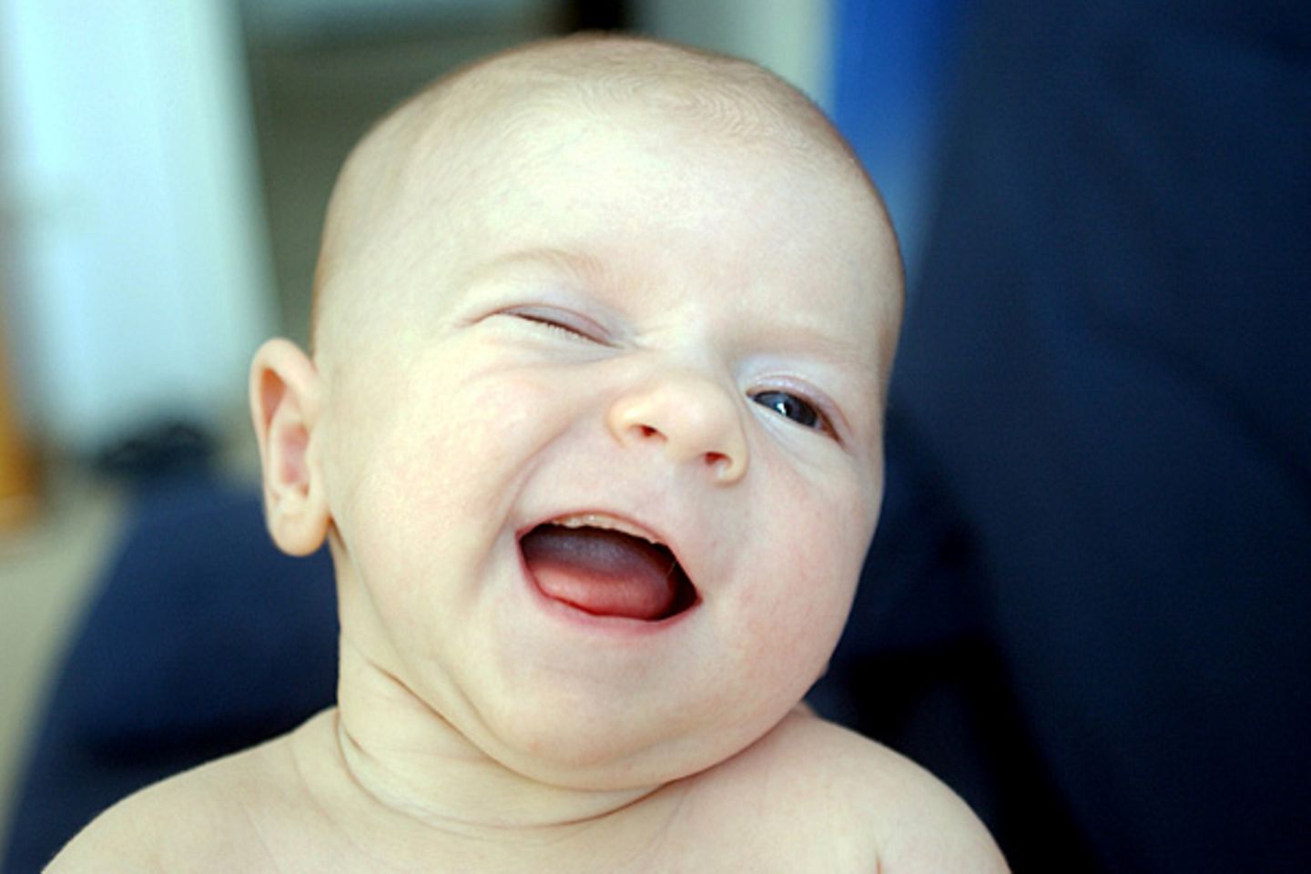 Rheinland-Pfalz    Die Pfälzer lassen sich von Google die Inflation erklären. Um der Krise zu begegnen, wird Google mit einem Begriff gefüttert, der Frau von der Leyen sicher gefallen dürfte: Babies  Die gefetteten von Google Trends ermittelten Begriffe zeigen an, wonach im jeweiligen Bundesland in der Krise deutlich mehr gesucht wurde, als den 15 anderen Bundesländern.