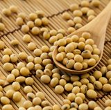 Soja-Allergiker vertragen unter Umständen fermentierte Sojaprodukte