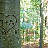 Die erste Liebe    O wie viel Leben, wie viel Zeit    Hab' ich, als kaum beseelt, verloren,    Eh' mich die Gunst der Zärtlichkeit    Begeistert und für dich erkoren!  Friedrich von Hagedorn, 1708 - 1754    138 Zeichen