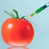 "Gentechnisch veränderte" Lebensmittel oder Zutaten können gentechnisch veränderte Organismen enthalten - die Hefe im Bier kann zum Beispiel kann gentechnisch verändert sein. Sie können auch aus gentechnisch veränderten Organismen bestehen, etwa Raps, oder aus solchen hergestellt sein, etwa Sojaöl. Seit April 2004 müssen solche Lebensmittel oder Zutaten auf den Packungen gekennzeichnet werden, etwa in der Zutatenliste