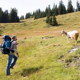 Haben Sie vor, länger draußen unterwegs zu sein, etwa bei einer Gebirgswanderung, wickeln Sie Ihr Insulin in Tücher oder Kleidung ein und legen das Bündel in den Rucksack. So ist das Medikament vor zu großer Wärme geschützt. Im Winter tragen Sie es besser dicht am Körper, dann kann es nicht einfrieren