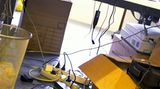Dienstag, 9. Juni 2009      Rasanter Anstieg von Unfällen durch Computer    Seit Computer zum häuslichen Umfeld gehören, steigen auch die Unfälle. Die Zahl akuter Verletzungen durch Kabel, Computer und angeschlossene Geräte hat sich nach Auskunft von US-Forschern von 1994 bis 2006 in den Vereinigten Staaten versiebenfacht. Gefährdet sind demnach vor allem Kinder unter 5 Jahren und ältere Menschen über 60. Sie stoßen sich an den Geräten, stolpern und reißen Monitore herunter oder verletzen sich auch beim Heben. Nicht in die Untersuchung einbezogen sind Gesundheitsprobleme, die sich aus der längeren Benutzung von Computern ergeben können: Rückenschmerzen, Nachlassen der Sehkraft, Verspannungen in Händen und Armen. Der Studie, deren Ergebnisse in der Juli-Ausgabe des "American Journal of Preventive Medicine" zufolge verletzten sich von 1994 bis 2006 mehr als 78 000 Menschen in den USA durch Computer so stark, dass sie in der Notaufnahme eines Krankenhauses behandelt werden mussten. Der Anstieg in den 13 Jahren betrug 732 Prozent. In der gleichen Zeit stieg die Zahl von Computern in privaten Haushalten nur um 309 Prozent. (DPA)