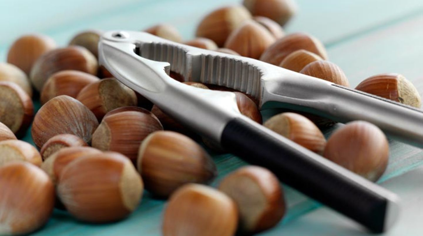 Nüsse sind ein idealer Hirn- und Nervensnack und senken sogar das Risiko, einen Herzinfarkt zu erleiden. Sie enthalten unter anderem viele gesunde Fette, Eiweiß und B-Vitamine. Genießen Sie sie zwischendurch, mit Trockenobst gemischt oder in Müslis, Joghurt- und Quarkspeisen. Achten Sie immer darauf, dass die Nüsse nicht schimmelig sind - dabei bilden sich gefährliche Gifte