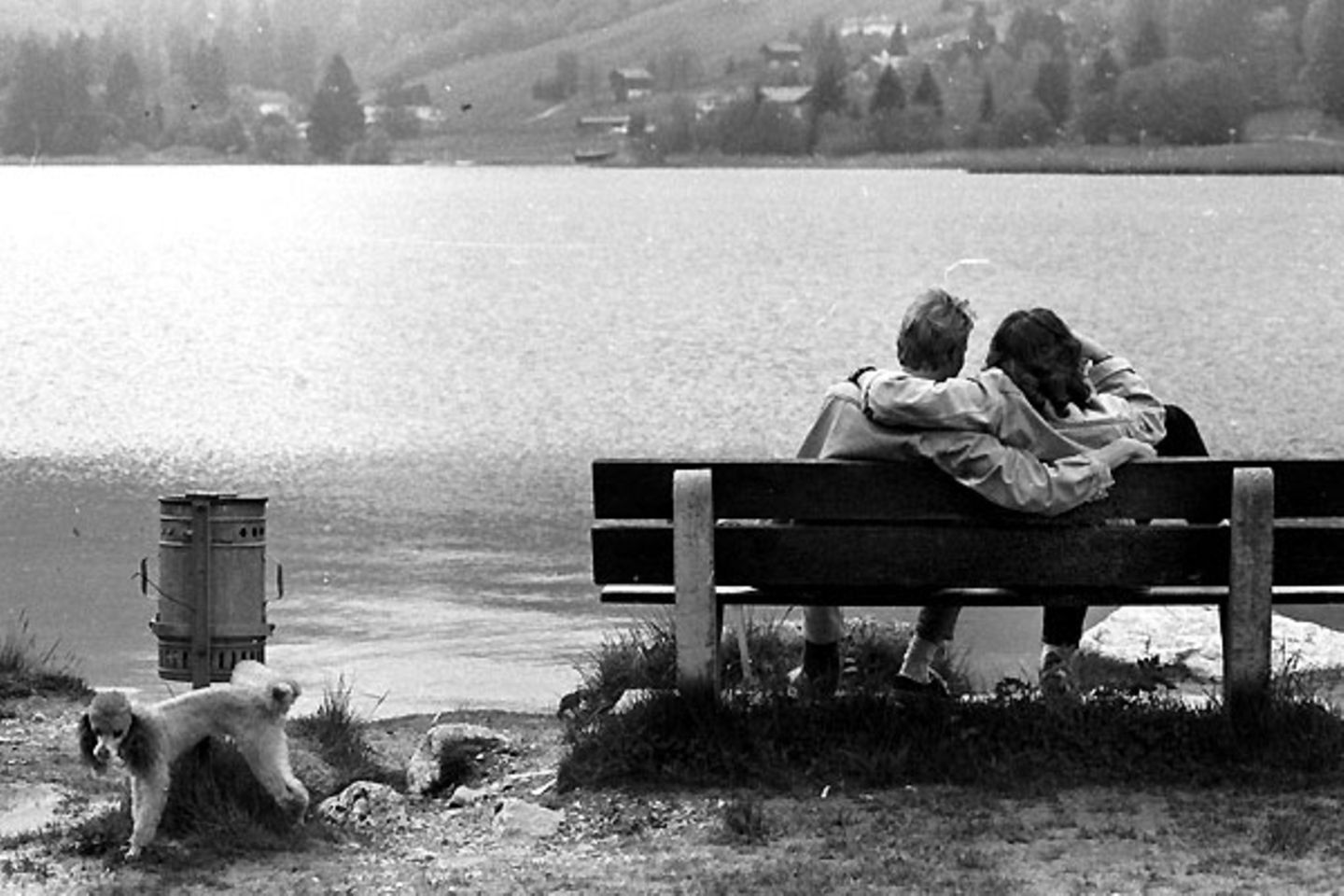 Auch Gegenfragen mussen sich die Frager gefallen lassen. Als Monika aus Stuttgart wissen wollte, warum Männer lieber gegen etwas pinkeln, anstatt in etwas hinein, fragten viele zurück, wieso sie denn pinkelnde Männer beobachte.  Einige beantworten aber auch ihre Frage - etwa Wolfgang aus Schwerin: "Männer markieren - unbewusst - ihr Revier". Das könne man auch bei Hunden oder Bären beobachten. "Je höher gepinkelt wird, desto größer das Tier, desto eindeutiger die Markierung des Reviers"  Video: Können Männer Frauen verstehen?