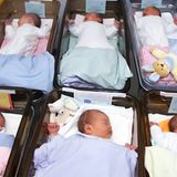 Sex ohne Ehe    Mehr Kinder ohne Trauschein: Während 2006 laut Statistischem Bundesamt fast jedes dritte Kind (30 Prozent) unehelich zur Welt kam, war es vor 30 Jahren nur knapp jedes zehnte (neun Prozent). Jedes Jahr veröffentlicht das Amt ein "Statistisches Jahrbuch", in dem Daten aus allen Bereichen der amtlichen Statistik zusammengefasst sind  Video: Die Deutschen sind zu dick