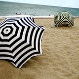 Platz sechs: Treibgut    Bei einem Einbruch nahmen die Diebe neben Auto und Portemonnaie auch eine Damenhandtasche und eine Laptoptasche mit. Der Wagen wurde am folgenden Tag entdeckt, von Laptop und der Handtasche aber keine Spur. Tage später allerdings stand ein Mann mit der tropfnassen Laptoptasche vor der Tür. Seine Kinder hatten das Behältnis am Strand gefunden, wo es vom Meer angespült worden war. Wie die Finder die Adresse der Besitzer herausgefunden haben? Die Diebe hatten die Handtasche in die Laptoptasche gestopft, bevor sie diese im Meer versenkten    Video: So retten Sie Ihre Daten