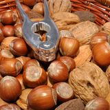 Bitte keine Selbstversuche! Einige Nahrungsmittel können zu heftigen Reaktionen führen, vor allem Nüsse und Erdnüsse sowie Sellerie, Fisch, Garnelen, Milch, Eier, Sesam, Senf und Buchweizen. Lassen Sie sich beraten und erwägen Sie einen Provokationstest unter ärztlicher Aufsicht