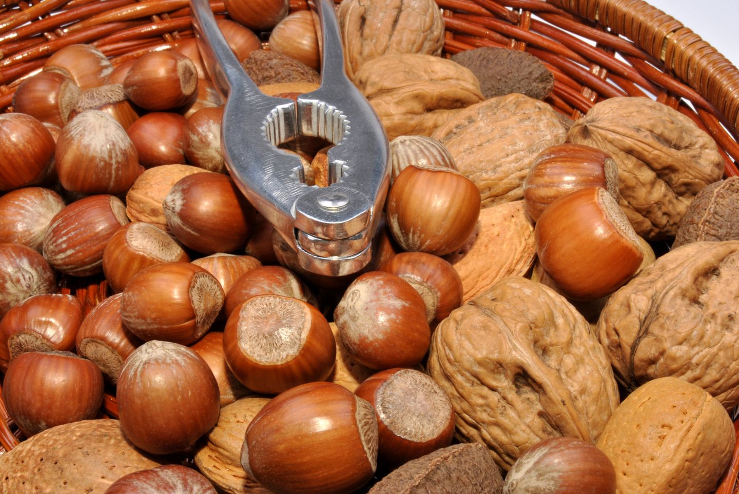 Tipps bei Lebensmittelallergie: Bitte keine Selbstversuche! Einige Nahrungsmittel können zu heftigen Reaktionen führen, vor allem Nüsse und Erdnüsse sowie Sellerie, Fisch, Garnelen, Milch, Eier, Sesam, Senf und Buchweizen. Lassen Sie sich beraten und erwägen Sie einen Provokationstest unter ärztlicher Aufsicht Bitte keine Selbstversuche! Einige Nahrungsmittel können zu heftigen Reaktionen führen, vor allem Nüsse und Erdnüsse sowie Sellerie, Fisch, Garnelen, Milch, Eier, Sesam, Senf und Buchweizen. Lassen Sie sich beraten und erwägen Sie einen Provokationstest unter ärztlicher Aufsicht
