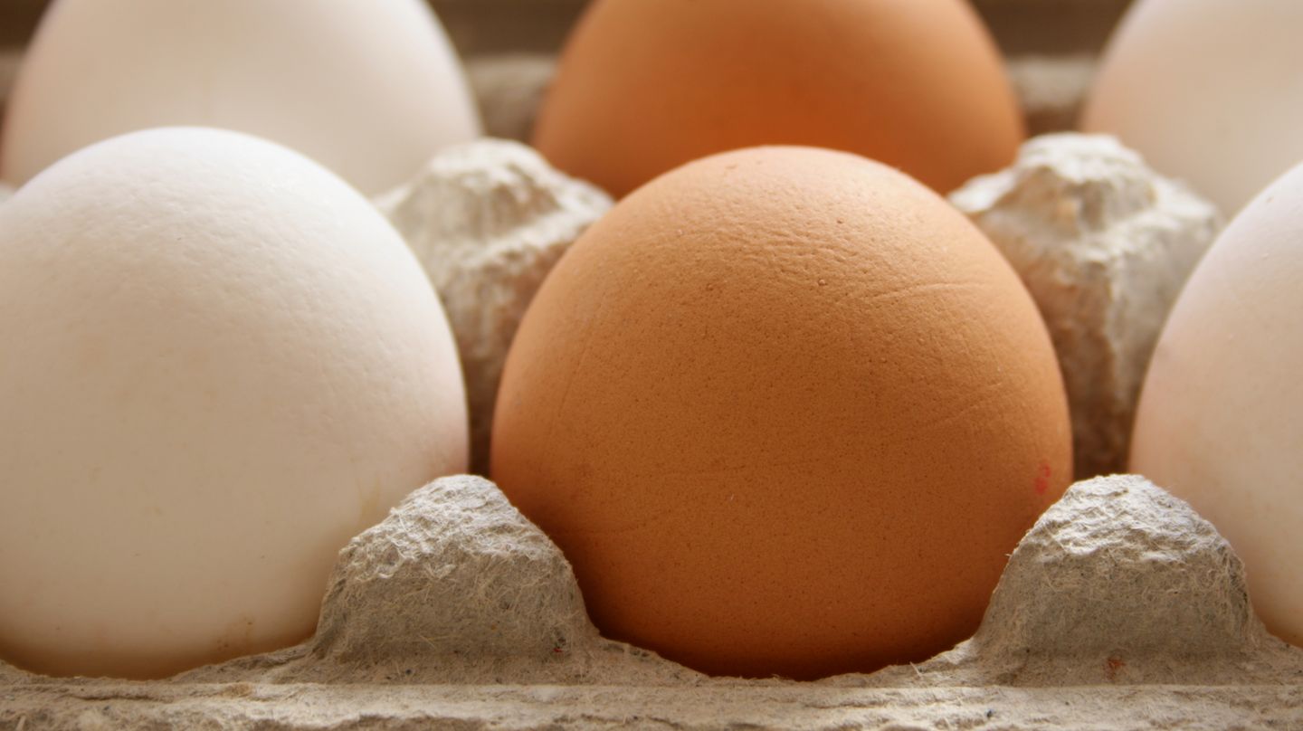 Für eine zusätzliche Vitamin-D-Versorgung können Sie Ihren Körper mit gesunder Nahrung unterstützen. Vitamin D ist in fettreichem Fisch, Margarine, Eiern und Pilzen enthalten.