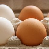 Für eine zusätzliche Vitamin-D-Versorgung können Sie Ihren Körper mit gesunder Nahrung unterstützen. Vitamin D ist in fettreichem Fisch, Margarine, Eiern und Pilzen enthalten.