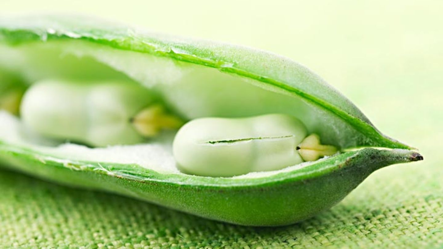 Essen für die Seele: Ersetzen Sie Produkte mit viel Zucker und Weißmehl durch Vollkornprodukte, Hülsenfrüchte, Obst und Gemüse. Die darin enthaltenen Kohlenhydrate verwertet der Körper langsamer. So schwankt Ihr Blutzuckerspiegel weniger Ersetzen Sie Produkte mit viel Zucker und Weißmehl durch Vollkornprodukte, Hülsenfrüchte, Obst und Gemüse. Die darin enthaltenen Kohlenhydrate verwertet der Körper langsamer. So schwankt Ihr Blutzuckerspiegel weniger
