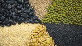 Essen Sie einmal pro Woche Hülsenfrüchte: Linsen, Erbsen oder Bohnen enthalten viel Mineralstoffe und Vitamine sowie große Mengen an Ballaststoffen. Die darin enthaltenen Eiweiße passen gut zu Eiweiß aus Getreide oder Fleisch.