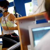 Besetzte Betten    Hoteliers klagen gerne über die Auslastung, denn nicht jede Woche füllt eine Messe die Zimmer. Die durchschnittliche Auslastung der Hotelbetten wird mit 39,7 Prozent angegeben. Vorsorge- und Reha-Kliniken dagegen sind zu 78,3 Prozent ausgelastet  Video: Warum ist Deutschland, der Deutschen liebstes Urlaubsziel?