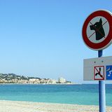 Keine Hunde oder Katzen mitbringen, wenn es verboten ist. Dafür gibt es eigene Hundestrände    Video: Mikro-Bikinis - darf man so was tragen?