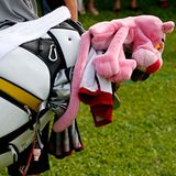 Platz zwei: Das ist ein Dschungel da draußen    Das Leben der Panther im Dschungel ist so bewegt, dass ein Speicherchip, der Daten aus dem Leben einer der Großkatzen aufzeichnete, irgendwann beschädigt wurde. Ein ganzes Forschungsprojekt hing von den diesem Flashchip ab, der in einem Kragen am Hals des Panthers steckte    Video: So retten Sie Ihre Daten