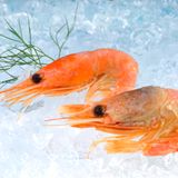 Seien Sie aufmerksam in Restaurants, falls sich bei Ihnen eine Allergie auf Schalentiere in Form von Asthma äußert. Mitunter können sehr empfindliche Personen bereits nach dem Einatmen der Dämpfe gekochter Tiere einen Anfall erleiden