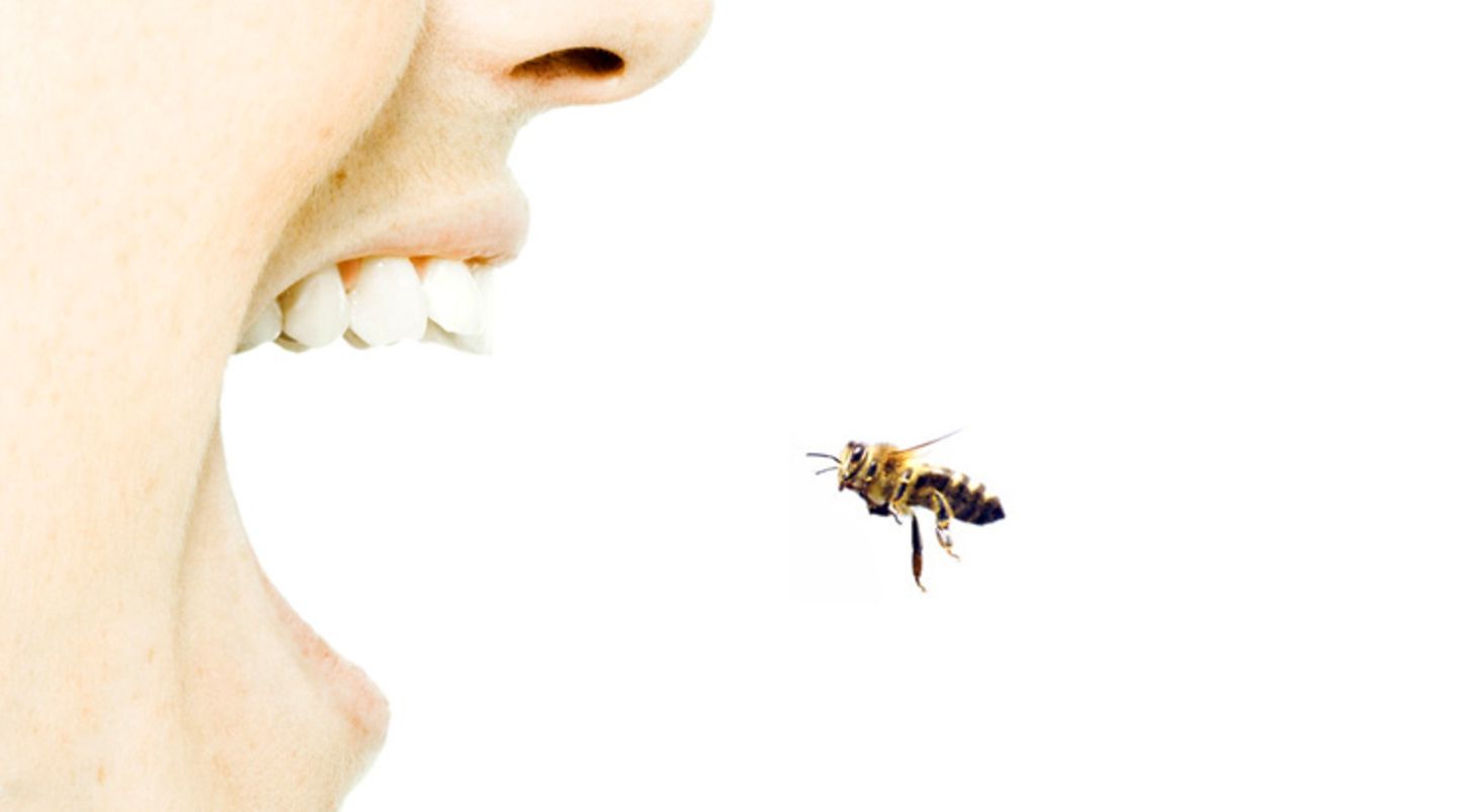 Wer schon einmal eine schwere allergische Reaktion auf einen Insektenstich erlebt hat, sollte immer ein Notfallset dabei haben
