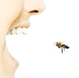 Wer schon einmal eine schwere allergische Reaktion auf einen Insektenstich erlebt hat, sollte immer ein Notfallset dabei haben