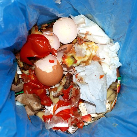82 Kilogramm Lebensmittel, etwa zwei vollgepackte Einkaufswagen im Wert von rund 235 Euro pro Jahr, schmeißt jeder von uns weg