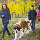 Grosser Sankt Bernhard, Schweiz: Passwanderung mit Bernhardiner-Hunden Schon im Mittelater hatten Mönche für Reisende und Pilger an dem wichtigen Alpenübergang im Wallis ein Hospiz gegründet, wo bis heute auch die Hunderasse Bernhardiner gezüchtet werden, die als Rettungshunde bei der Suche nach Lawinen-Opfern zum Einsatz kommen. In den Sommermonaten können Familien die Hospizhunde auf einer eineinhalbstündigen Wanderung begleiten.  Infos: www.fondation-barry.ch/de