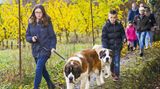 Grosser Sankt Bernhard, Schweiz: Passwanderung mit Bernhardiner-Hunden Schon im Mittelater hatten Mönche für Reisende und Pilger an dem wichtigen Alpenübergang im Wallis ein Hospiz gegründet, wo bis heute auch die Hunderasse Bernhardiner gezüchtet werden, die als Rettungshunde bei der Suche nach Lawinen-Opfern zum Einsatz kommen. In den Sommermonaten können Familien die Hospizhunde auf einer eineinhalbstündigen Wanderung begleiten.  Infos: www.fondation-barry.ch/de