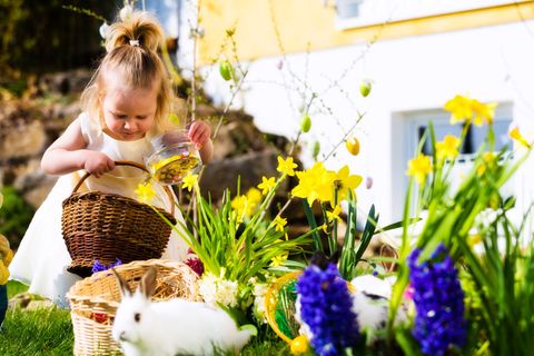 Osterhase und Eier suchen, wenn dann noch die Sonne scheint, ist das Kinderglück perfekt