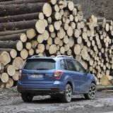 Die Bodenfreiheit beträgt 22 Zentimeter