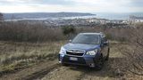 Der Forester 2.0D Sport Lineartronic hat ein mayimales Drehmoment von 350 Newtonmetern