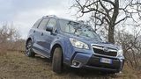Der Forester 2.0D Sport Lineartronic steht ab dem 28. März beim Händler