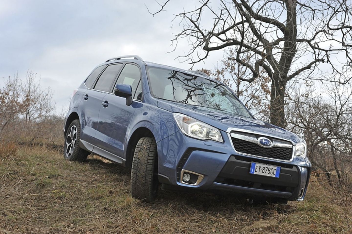 Der Forester 2.0D Sport Lineartronic steht ab dem 28. März beim Händler