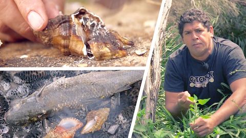 Wildpilze als Nahrung: 58-Jähriger überlebt 18 Tage im australischen Outback