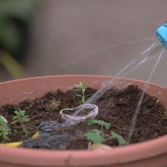 "Life Hacks": Die Do-it-yourself-Gießkanne