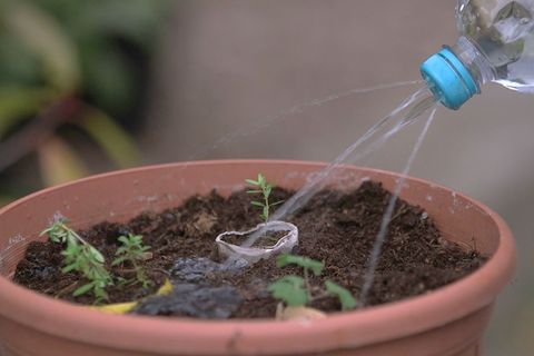 "Life Hacks": Die Do-it-yourself-Gießkanne
