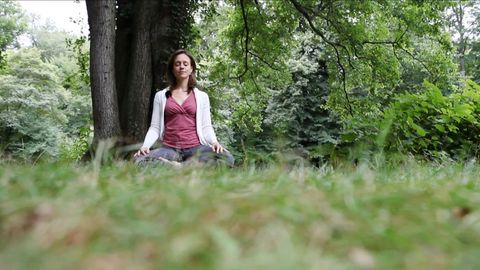 Forschung in der Röhre: Der Wirkung von Meditation auf der Spur